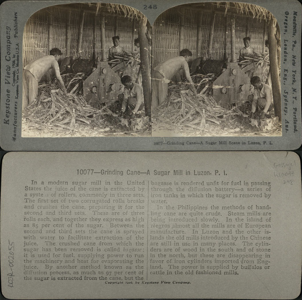 Grinding Cane – A Sugar Mill Scene in Luzon, P. I.